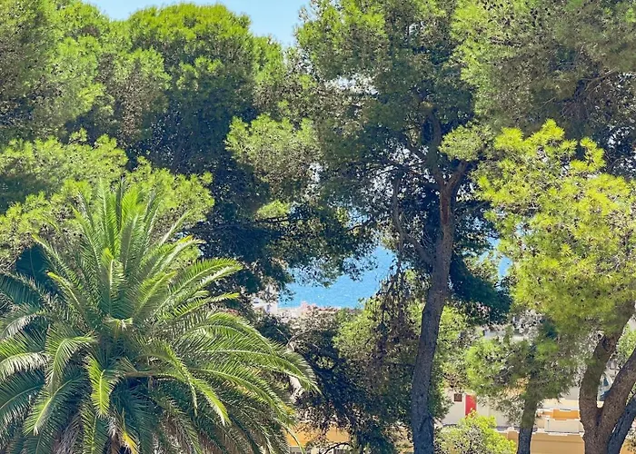 Helecho Vila Marbella