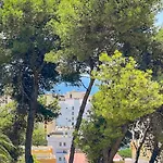 Helecho * Μαρμπέλλα